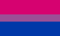 bisexuality is a romantic or sexual attraction or behavior toward both males and females, to more than one gender, or to both people of the same gender and different genders.