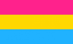 pink, yellow, blue flag denoting that the sexual orientation does include all kinds of gender representations