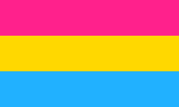 Pansexuality is defined as an attraction to people of any gender or to people regardless of their gender, with the prefix “pan” coming from the Greek prefix for “all.”