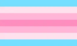 refers to someone who is transgender, non-binary, or gender non-conforming and whose gender is mostly feminine, whether in identity, expression, or both.