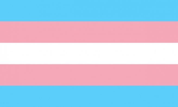 Transgender is a general term that describes people whose gender identity, or their internal sense of being male, female, or something else, does not match the sex they were assigned at birth
