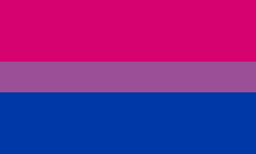 Bisexual flag, 3  horizontal bars, with a large dark pink stripe at the top, a smaller purple stripe in the center, and a large dark blue stripe along the bottom.