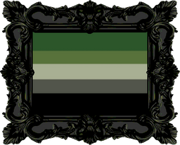⌖　aromantic．