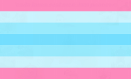 "denoting or relating to a person who was registered as female at birth but whose gender identity is in some way aligned with or characterized by masculinity."

[maker of flag unknown]