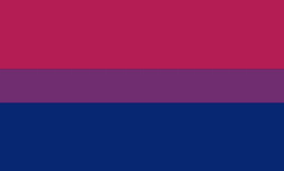 bisexual- sexually or romantically attracted not exclusively to people of one particular sex or gender