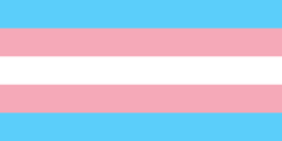 A term referring to an individual whose gender identity does not correspond with their assigned gender at birth (AGAB).