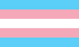 Transgender flag, 5 equal spaced horizontal bars in the following order from top to bottom: light blue, light pink, white, light pink, light blue.