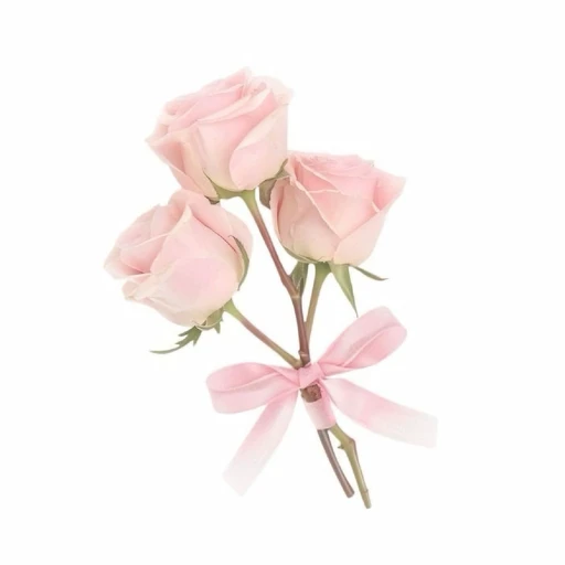 Avatar for EVERYONE DNI